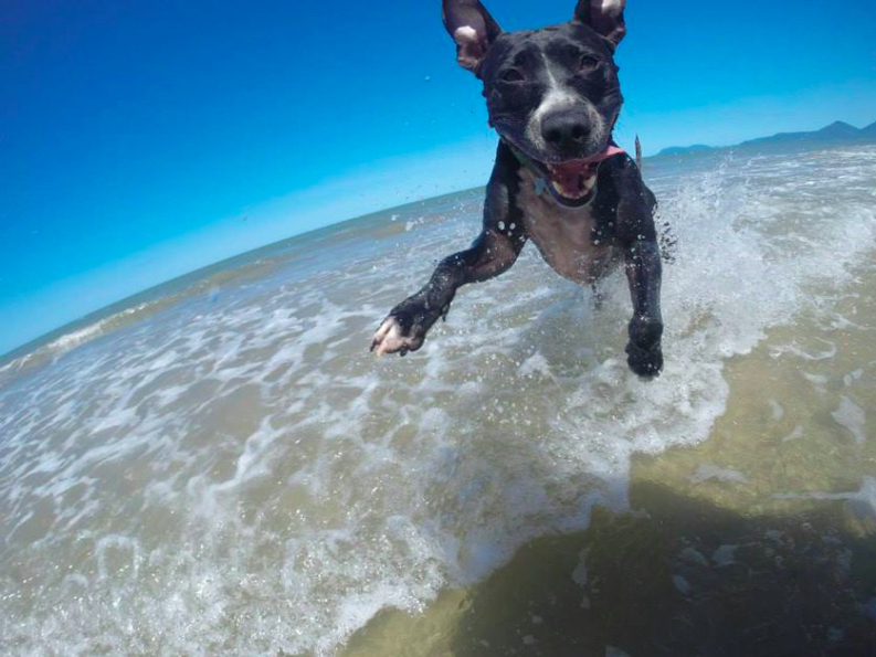 Dog Jump Beach